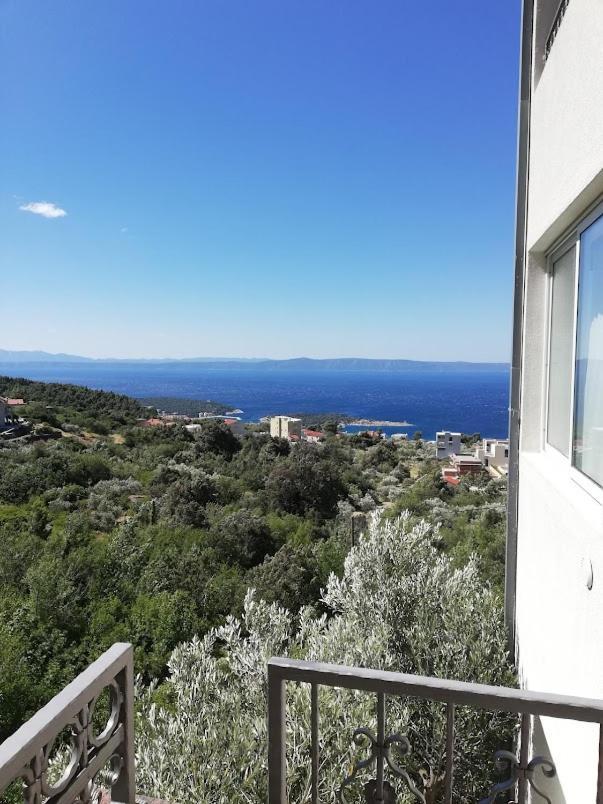 Apartment Panorama