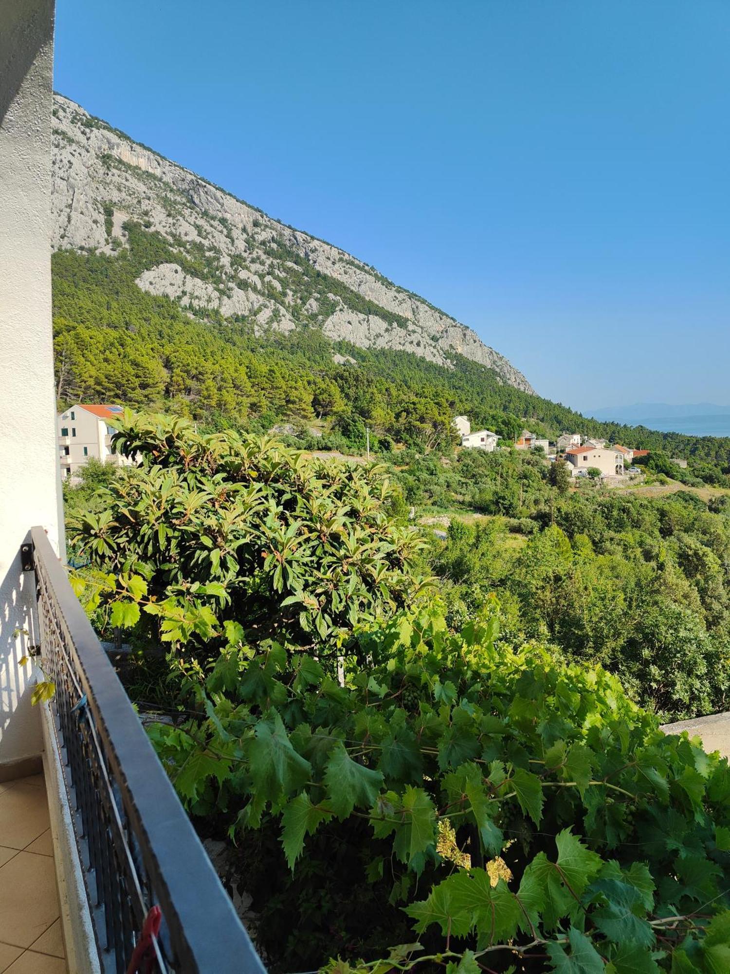 Apartment Panorama *